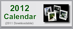 2010 Calendars